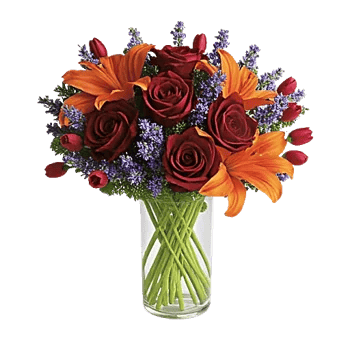 Crimson Blossom Harmony