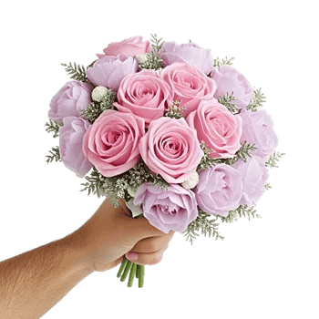 Pastel Pink Roses