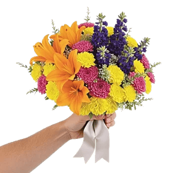 Petal Harmony Bliss