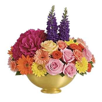 Petal Radiance Bliss