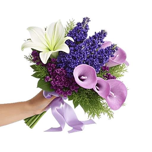 Elegant Calla Lilies