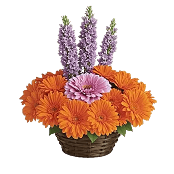 Rosemary Bloom Elegance