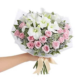 Ivory Garden Grace
