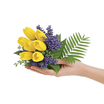 Blossom Harmony Display