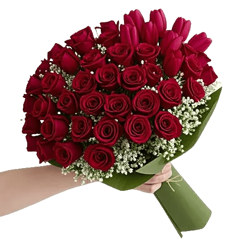 Crimson Rose Elegance