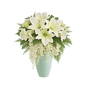 Ivory Blossom Radiance