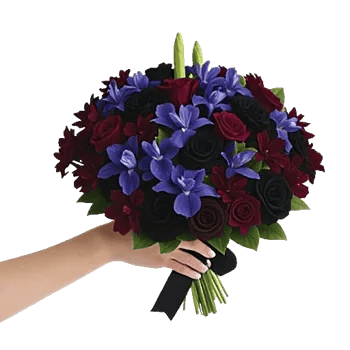 Ivory Blossom Radiance