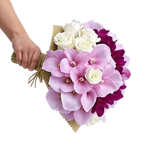 Orchid Bloom Cascade