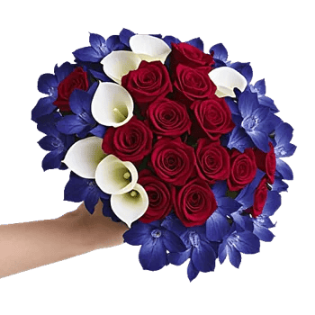 Blushing Rose Symphony