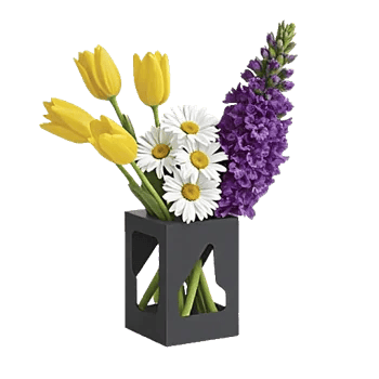 Velvet Tulip Display