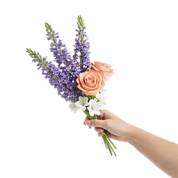 Graceful Lily Display