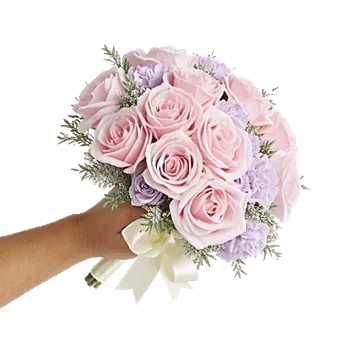 Pastel Pink Roses