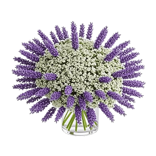 Lavender Bloom Grace