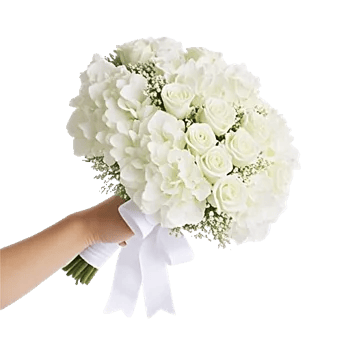 Serene Petal Harmony