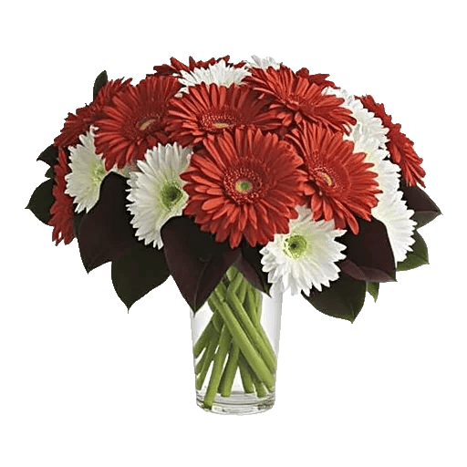 Radiant Bloom Cascade