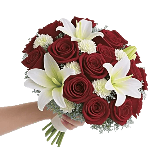 Blushing Rose Symphony