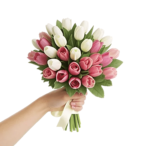 Blossom Harmony Display