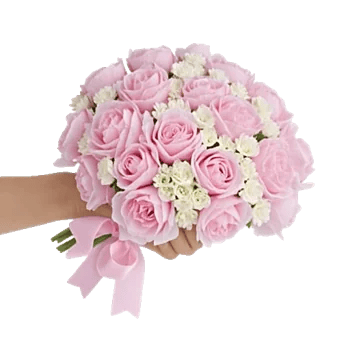 Peony Petal Harmony