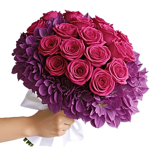 Pastel Pink Roses