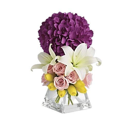 Ivory Blossom Radiance