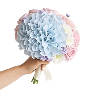 Serene Petal Harmony