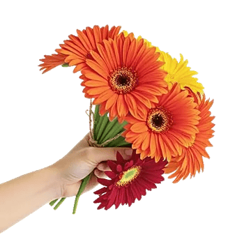 Petal Harmony Bliss