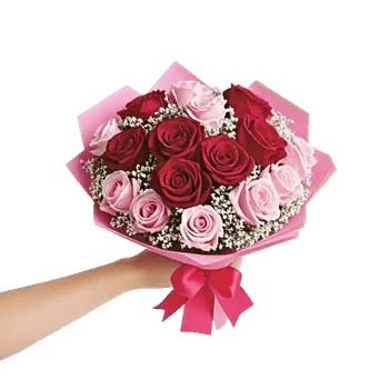 Crimson Rose Elegance