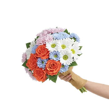 Petal Harmony Bliss