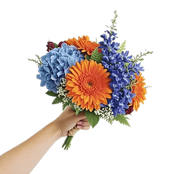 Blossom Petal Serenity