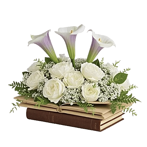 Elegant Calla Lilies