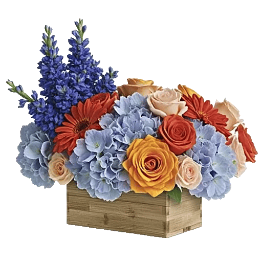 Sapphire Bloom Whisper