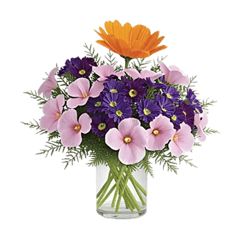 Petal Radiance Bliss