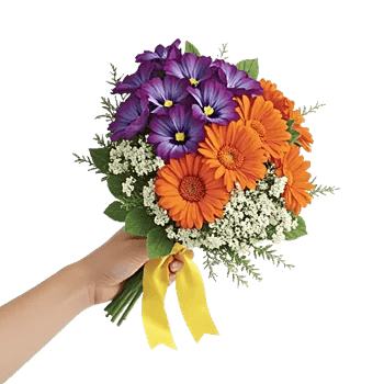 Blossom Petal Serenity