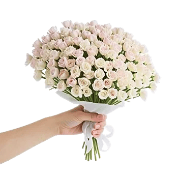 Blossom Petal Serenity