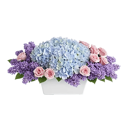 Serene Petal Harmony