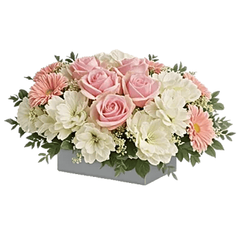 Delicate Petal Cascade