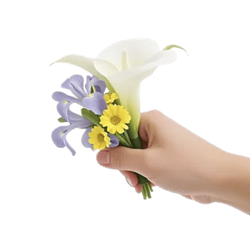 Elegant Calla Lilies