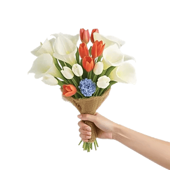 Elegant Calla Lilies