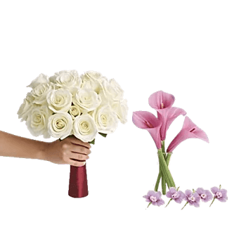 Elegant Calla Lilies