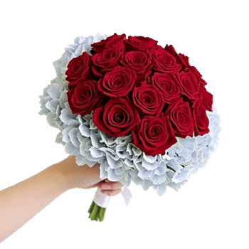 Blushing Rose Symphony