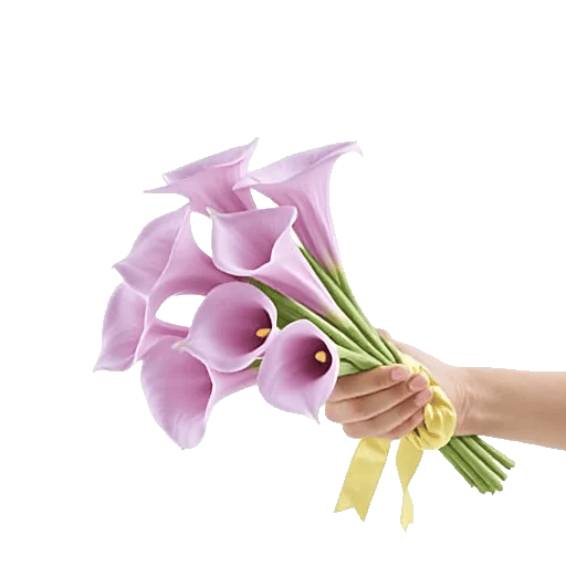 Elegant Calla Lilies