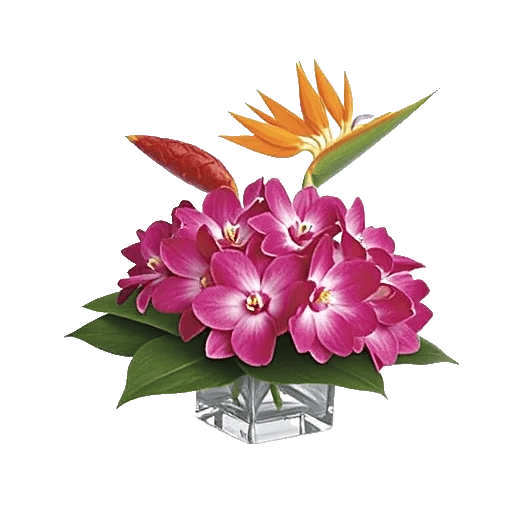 Orchid Petal Glow