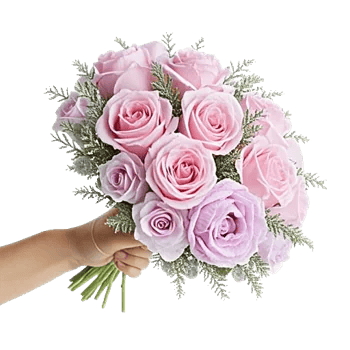 Pastel Pink Roses