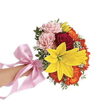 Blushing Rose Symphony