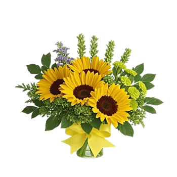 Bright Cheerful Sunflowers