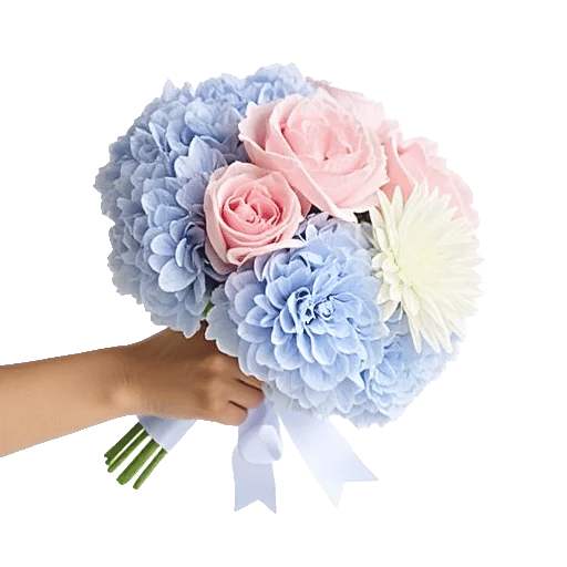 Serene Petal Harmony