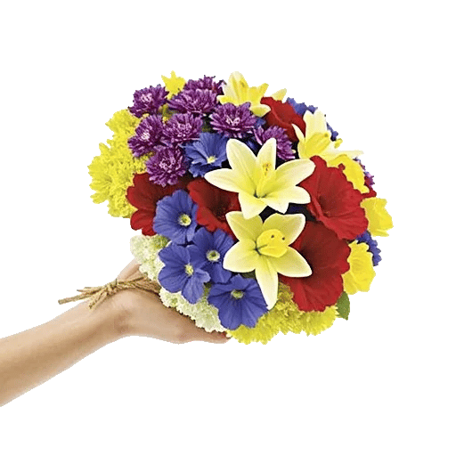 Blossom Harmony Display