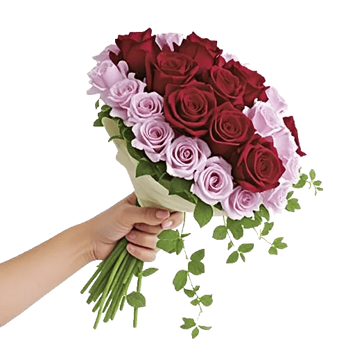 Crimson Rose Elegance