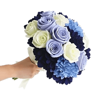 Blossom Petal Serenity