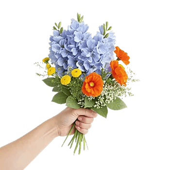 Blossom Petal Serenity